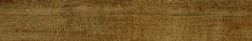 Alaska Alder