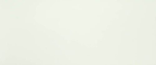 655D1R BEIGE RETT.