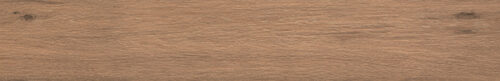 Bark Avana