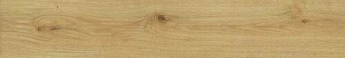 Exence Almond