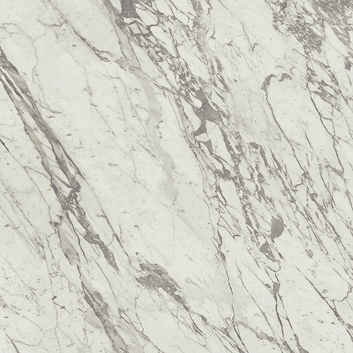 Marvel Statuario Select 120x120 Lappato