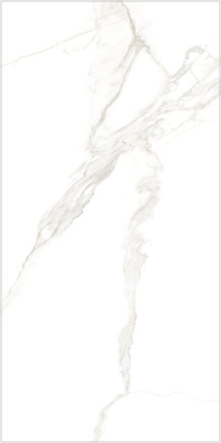 TORANO GOLD/60X120/EP