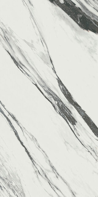 ШАР.ДЕЛ.СТАТ.ФАНТ.60X120 CER