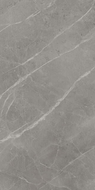 Marvel Grey Fleury 60x120 Lapp.