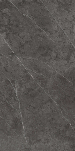 Шар.Эво Антрачит 80x160 Рет.