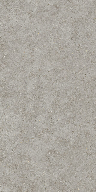 BOOST STONE Grey 60x120