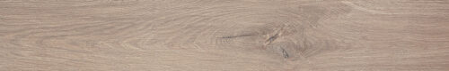 ROOTS 20X120 TAUPE MATT R9