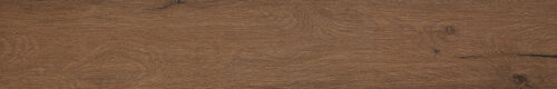 ROOTS 20X120 TOBACCO MATT R9