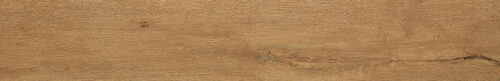 ROOTS 20X120 GOLD MATT R9