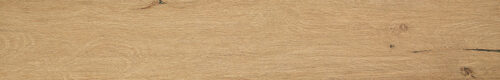 ROOTS 20X120 HONEY MATT R9