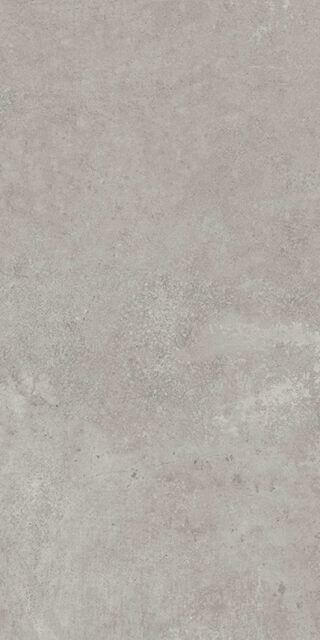 MOMA GRIS 60X120 REC.