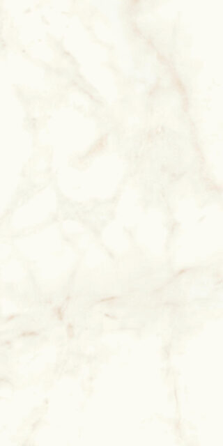 Marvel Calacatta Delicato 60x120 Matt