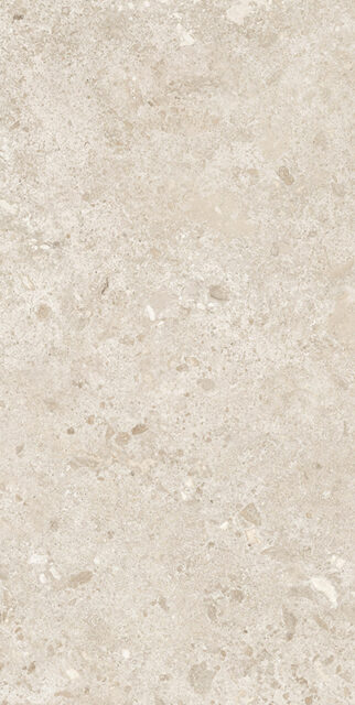 BIERZO MARFIL SEDA 60X120