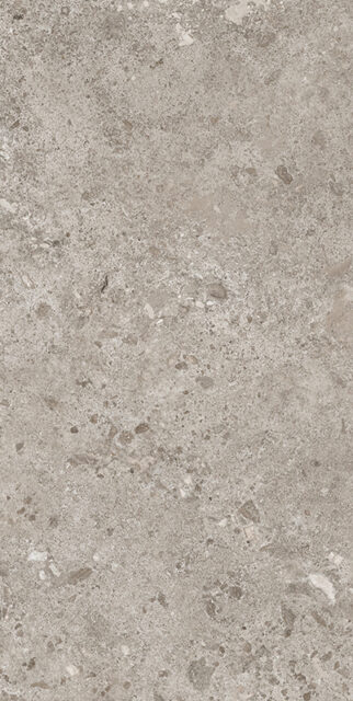 BIERZO GRIS SEDA 60X120