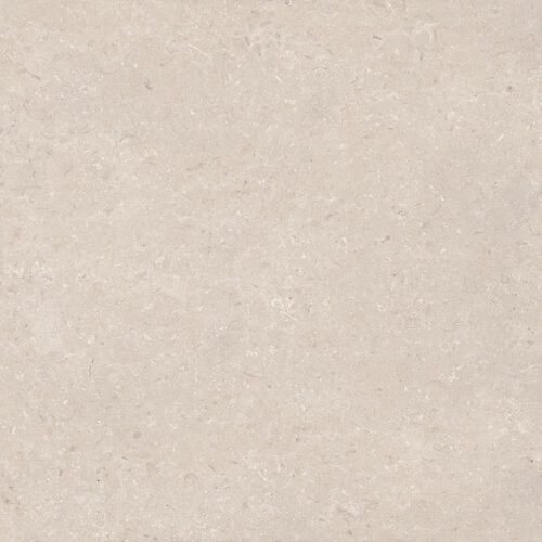 CORAL CALIZA L 120X120(A)