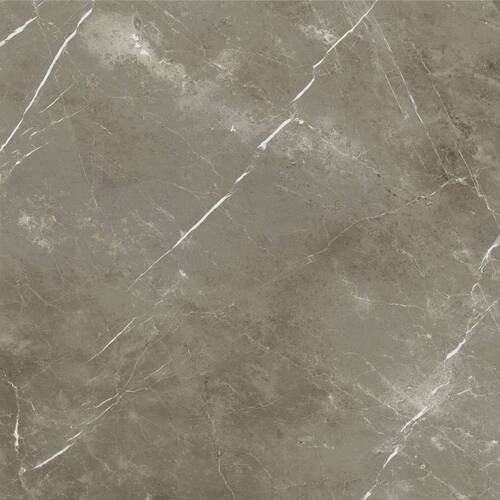СТЕ.ТУС.ГРЭЙ 120X120 РЕТ